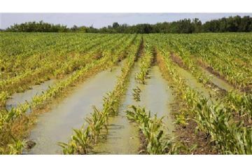 Procedure di ricognizione dei danni al comparto agricolo a seguito dei danni alluvionali del 16 e 17 aprile 2025